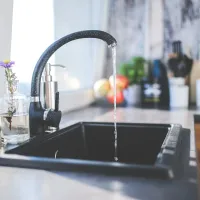 kitchen sink susceptible to drain flies